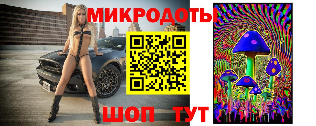 Псилоцибиновые грибы Psilocybe Новоалтайск