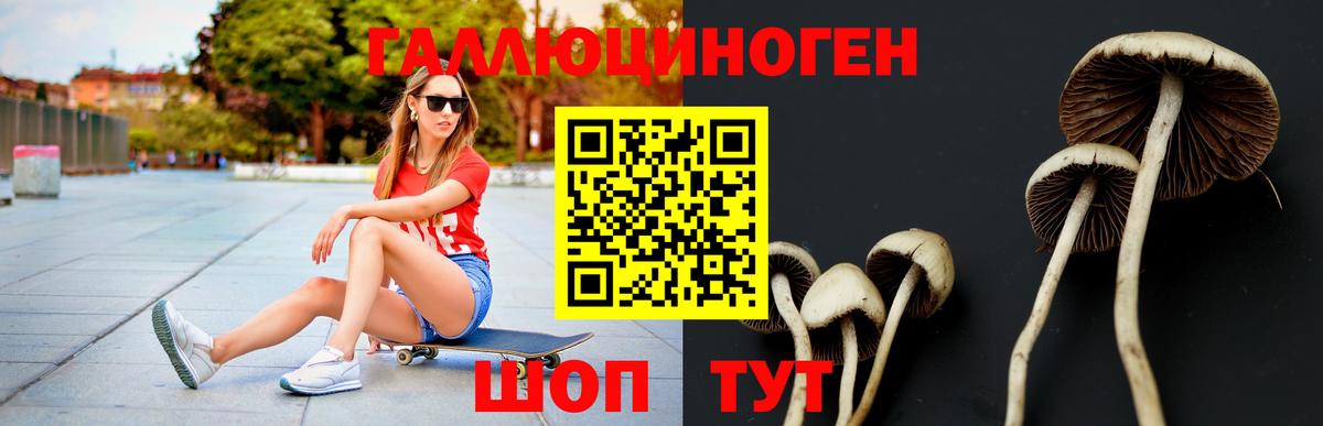 Новоалтайск  Галлюциногенные грибы мицелий  Вход с VPN 